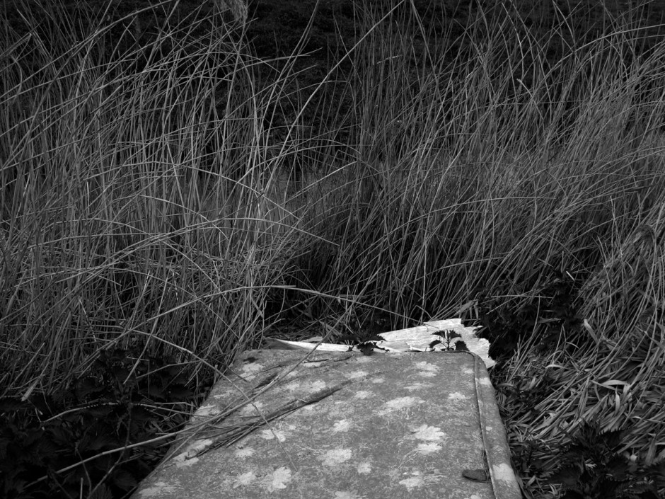 Mandy Williams Riverbed 10