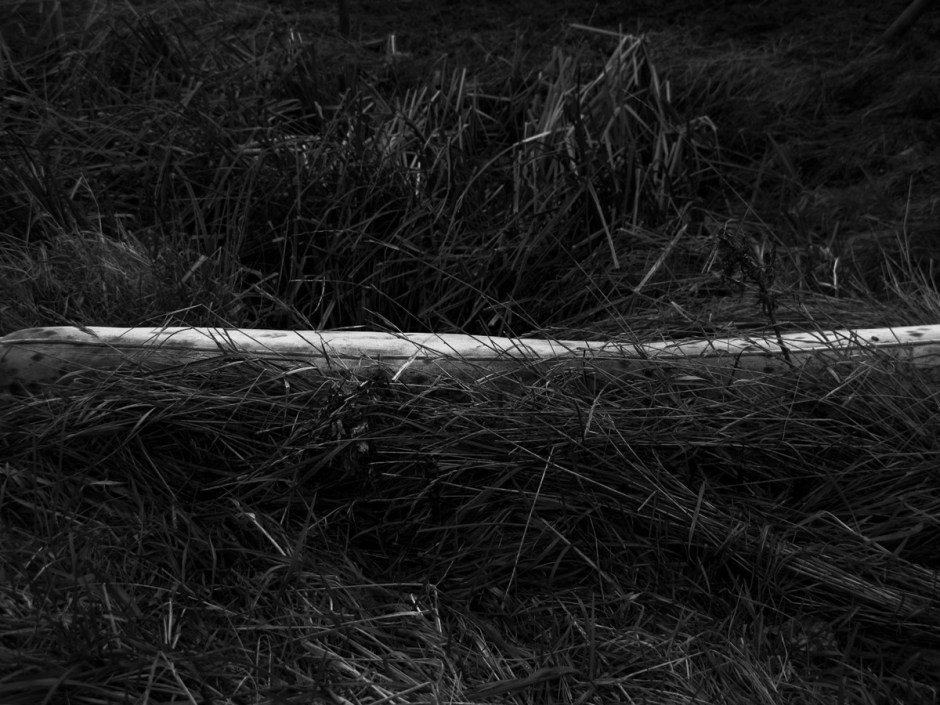 Mandy Williams Riverbed 11