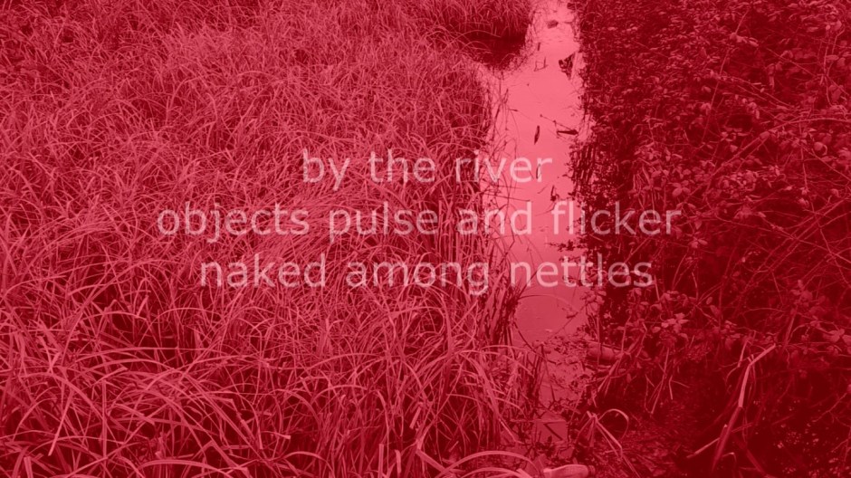 Mandy Williams Riverbed 13