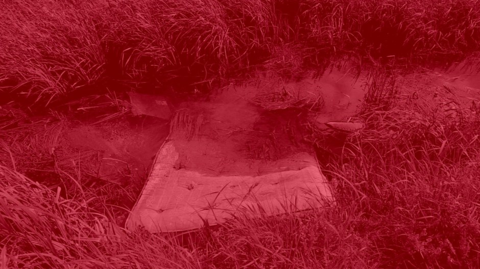 Mandy Williams Riverbed 15