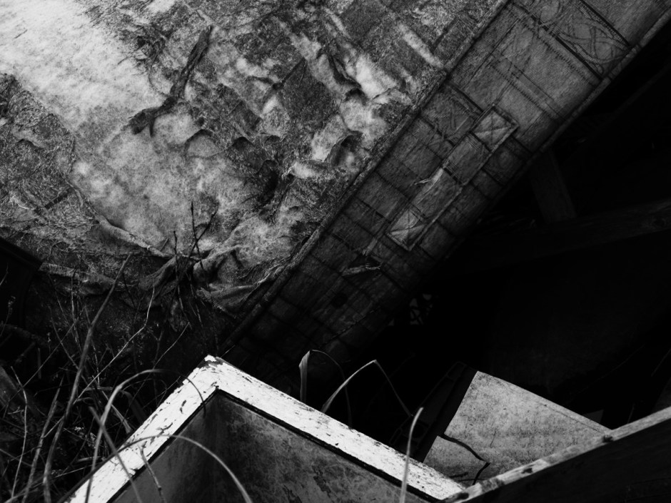 Mandy Williams Riverbed 2