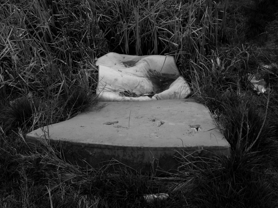 Mandy Williams Riverbed 4