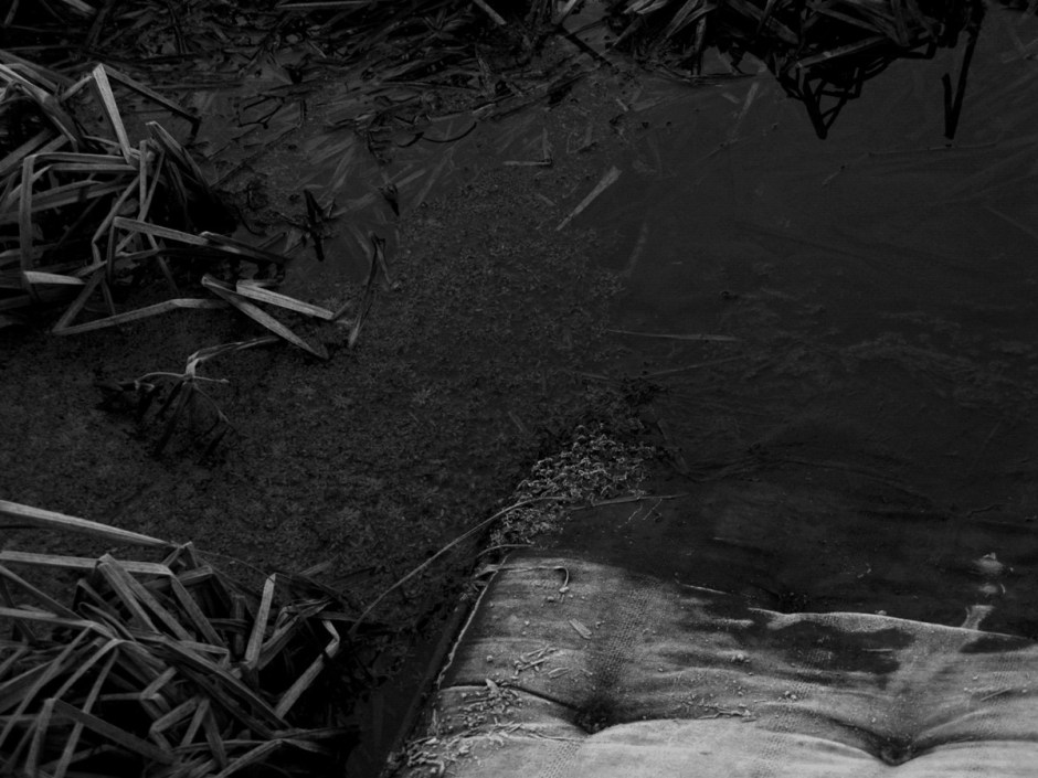 Mandy Williams Riverbed 6