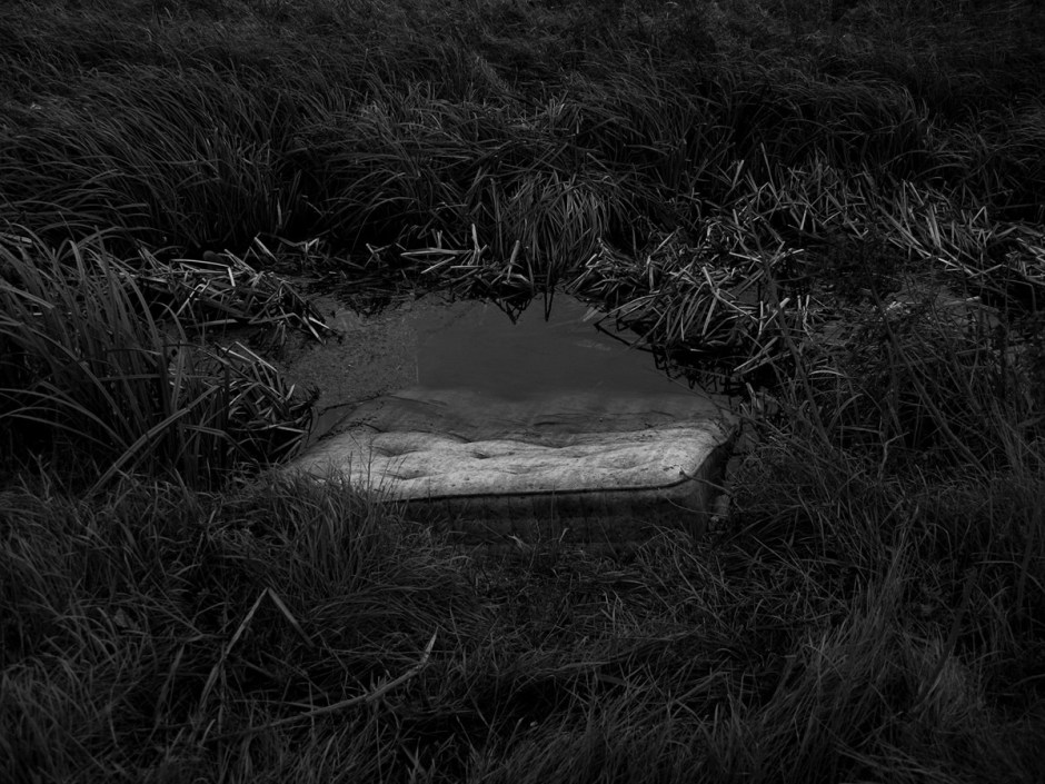 Mandy Williams Riverbed 9