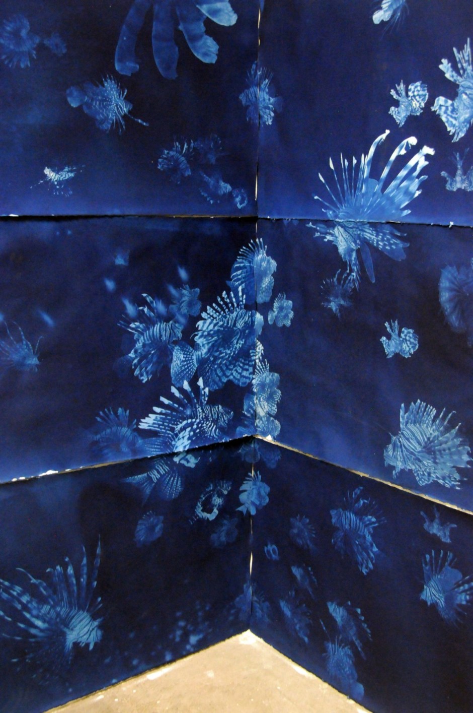 fishcorner-e1451505100620