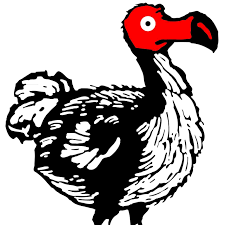 dodo
