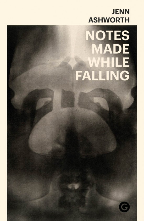 notes-made-while-falling-cover-image