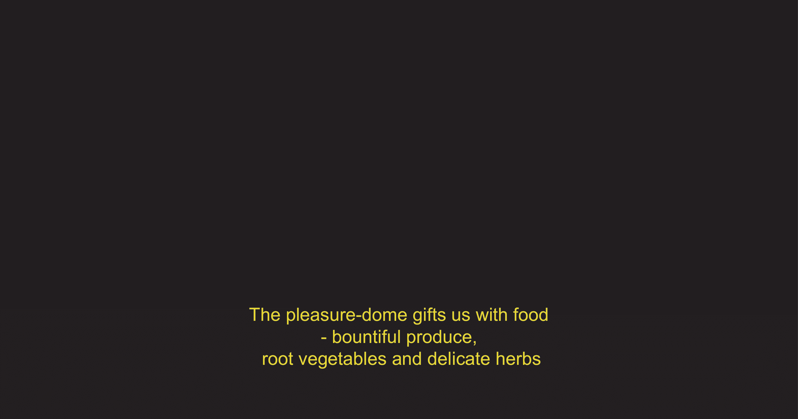 subtitle_project_1-06