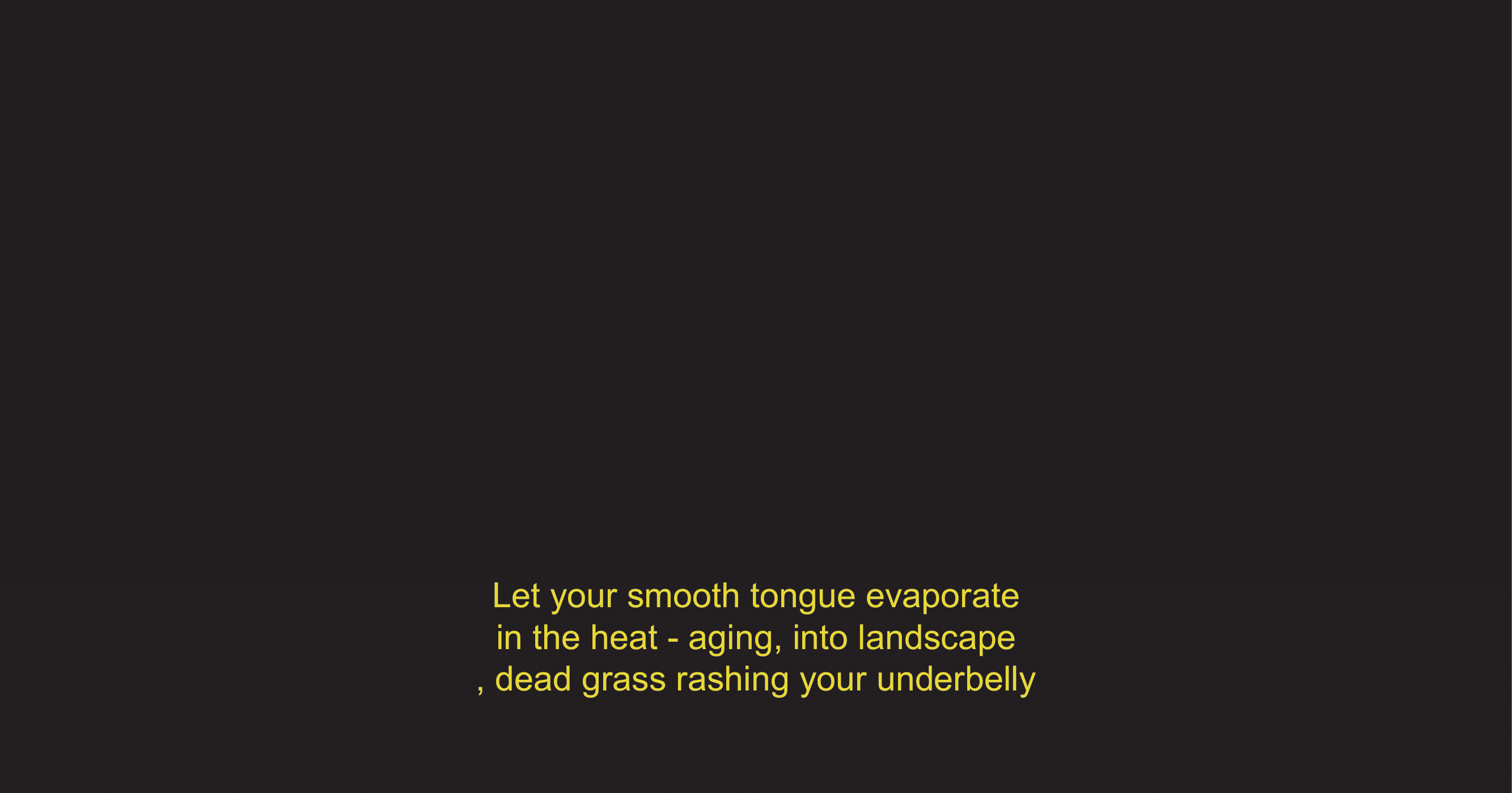 subtitle_project_1-13